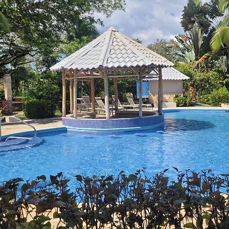 Tropical Bliss Pool Wi-Fi Bbq Near Quepos Manuel Antonio Διαμέρισμα Εξωτερικό φωτογραφία