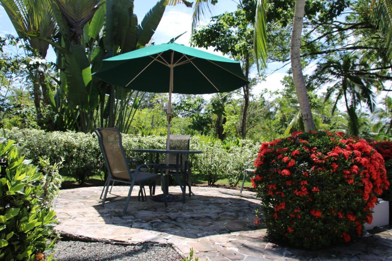 Tropical Bliss Pool Wi-Fi Bbq Near Quepos Manuel Antonio Διαμέρισμα Εξωτερικό φωτογραφία