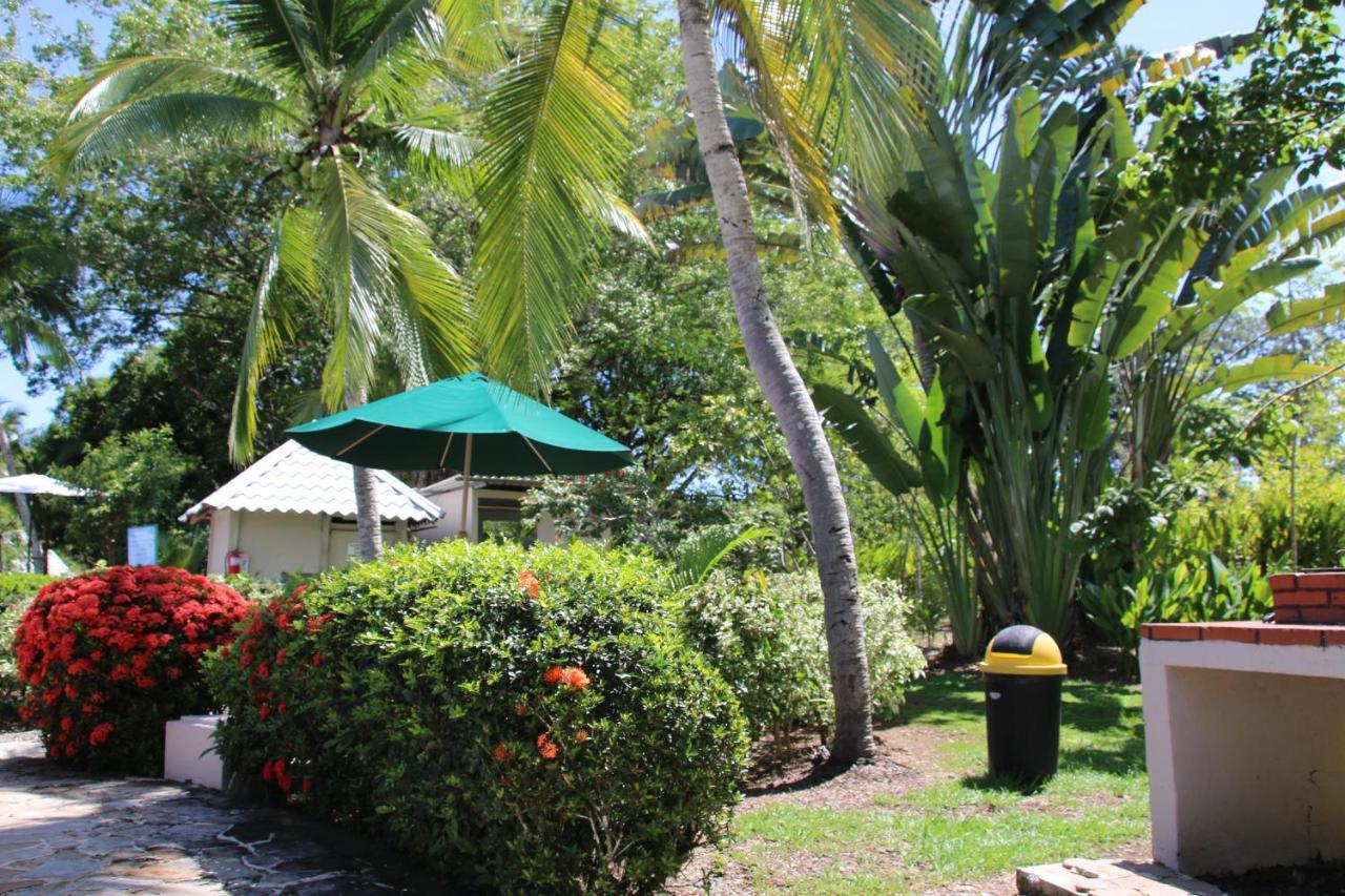 Tropical Bliss Pool Wi-Fi Bbq Near Quepos Manuel Antonio Διαμέρισμα Εξωτερικό φωτογραφία